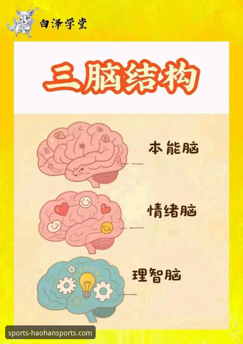 3个核心步骤与2个深度思考：全面解析浩瀚体育App下载安装教程